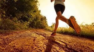 Importancia de la Actividad Física Regular